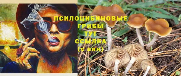 бутират Бронницы