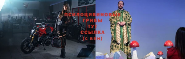 ГАЛЛЮЦИНОГЕННЫЕ ГРИБЫ Бородино