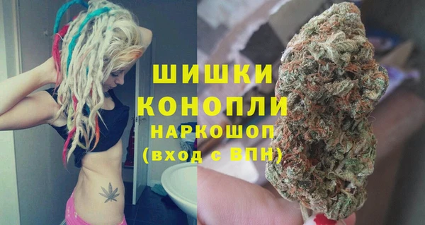 ГАЛЛЮЦИНОГЕННЫЕ ГРИБЫ Бородино