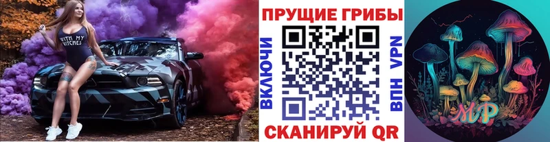 где купить   Дербент  мега tor  Псилоцибиновые грибы MAGIC MUSHROOMS 